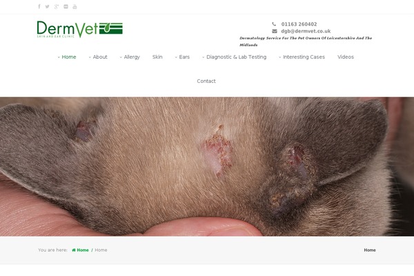 Avian theme site design template sample