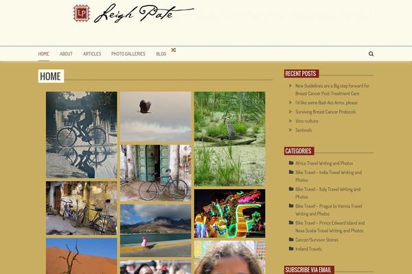AccessPress Mag theme site design template sample