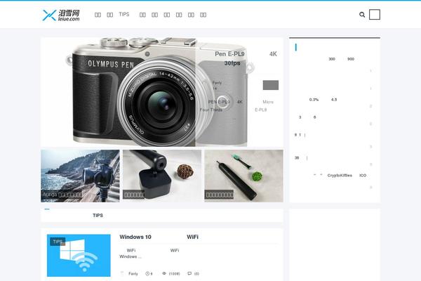 leiue.com site used Leiue