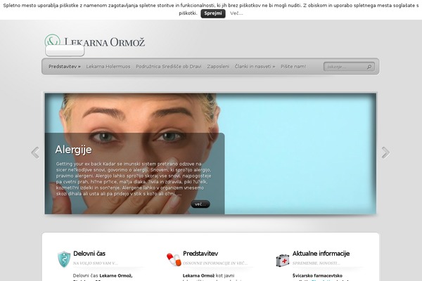 TheProfessional theme site design template sample