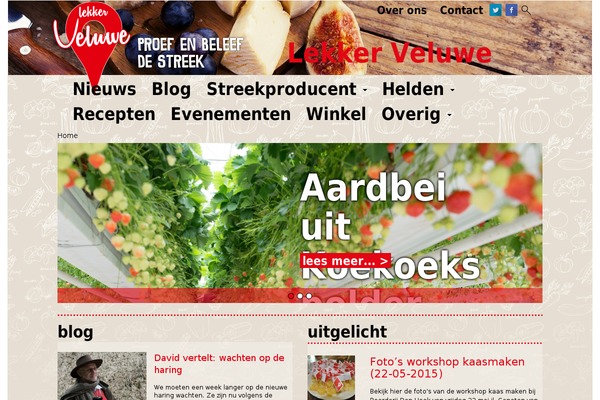 Lekker theme site design template sample