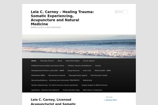 Twenty Eleven theme site design template sample