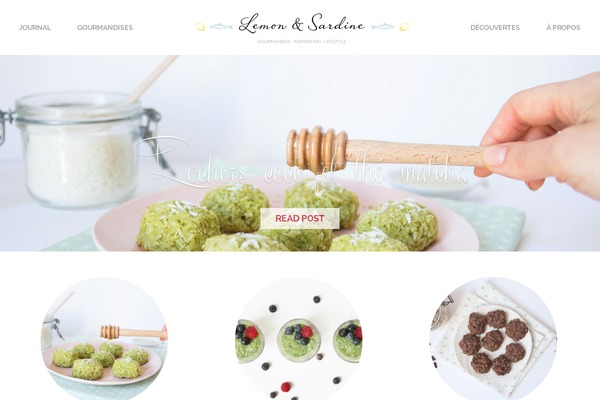 Site using Advanced Responsive Video Embedder plugin