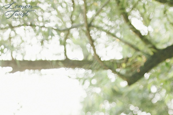 Bloggist theme site design template sample