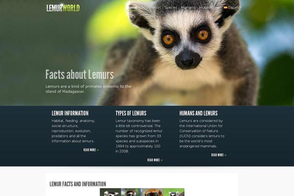 Fusion-child theme site design template sample