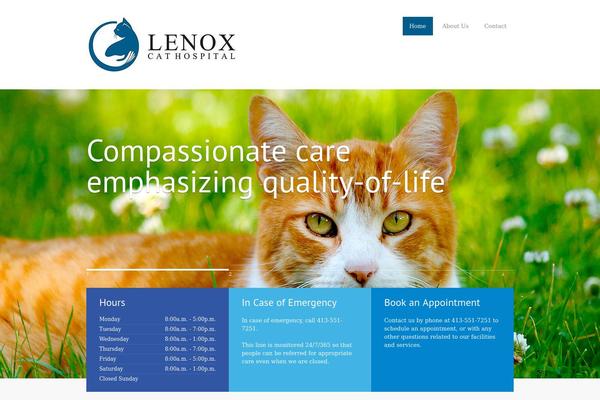 MediCenter theme site design template sample