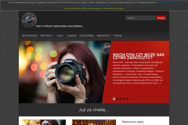Monaco theme site design template sample