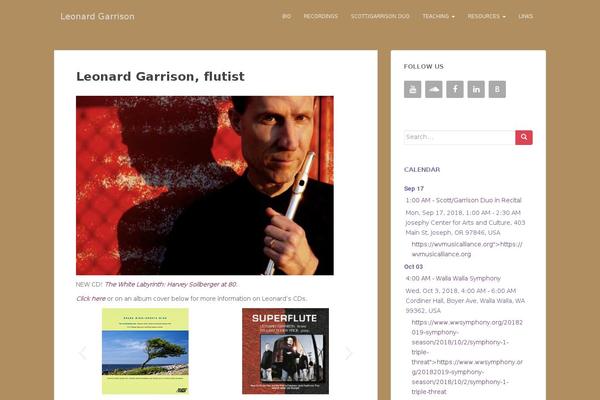 Sparkling theme site design template sample