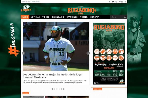 Hot Topix theme site design template sample