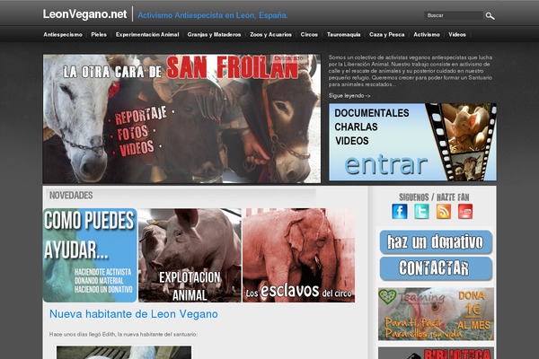 eDegree° theme site design template sample