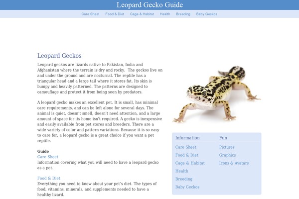 Frugal theme site design template sample