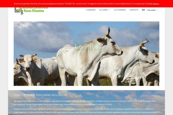 Site using Parallax_video_backgrounds_vc plugin
