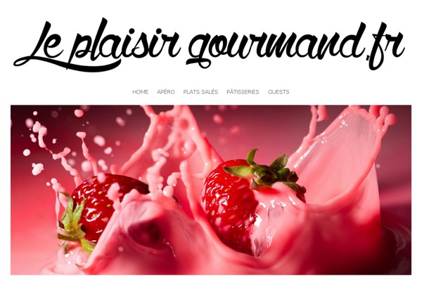 leplaisirgourmand.fr site used Food-blog