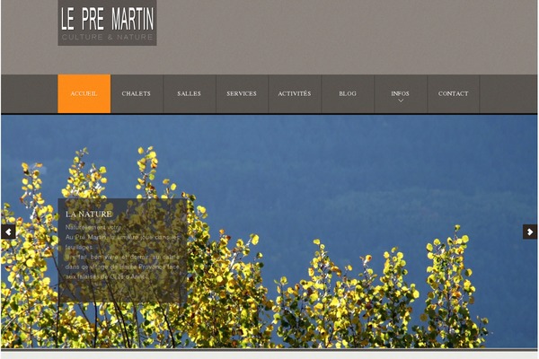 Site using Mphb-styles plugin