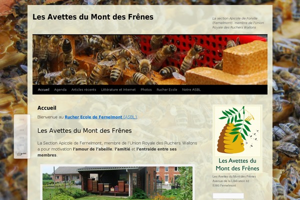 Site using Annie plugin