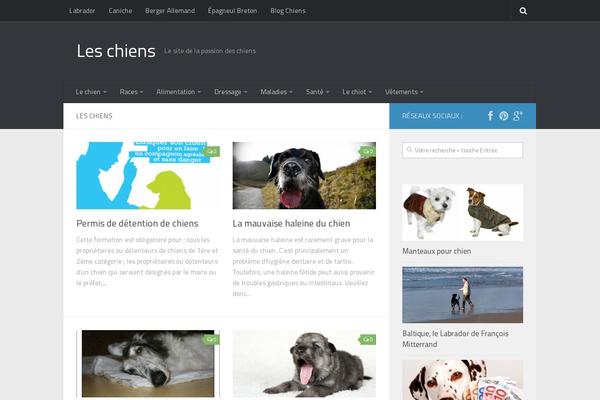 Huemanchild theme site design template sample