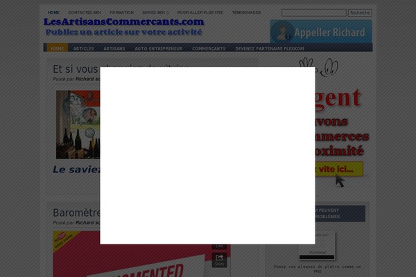StyledElement theme websites examples