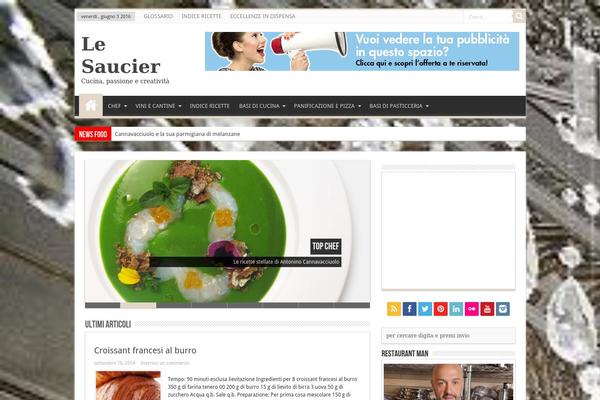 Sahifa theme site design template sample