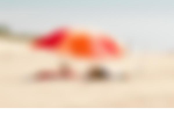 Site using Lollum-framework plugin