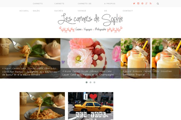 Silver theme site design template sample