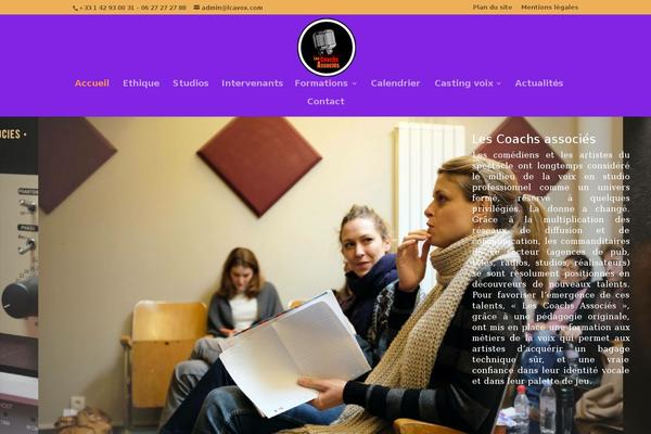 Divi Child theme site design template sample