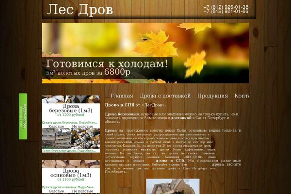 Twenty Ten theme site design template sample