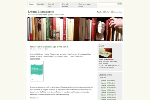 Misty_look_de theme site design template sample