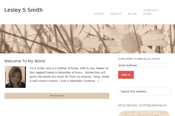 Beautiful Pro Theme theme site design template sample