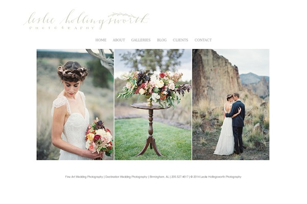Prophoto4 theme site design template sample