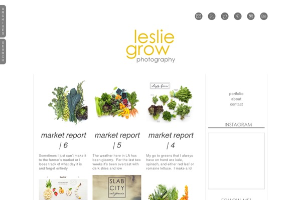 Prophoto4 theme site design template sample