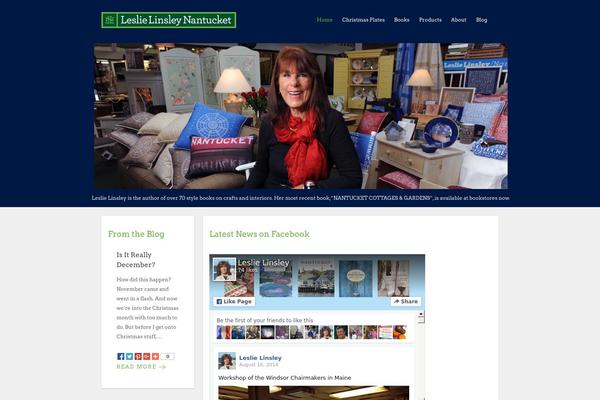 Salient theme site design template sample