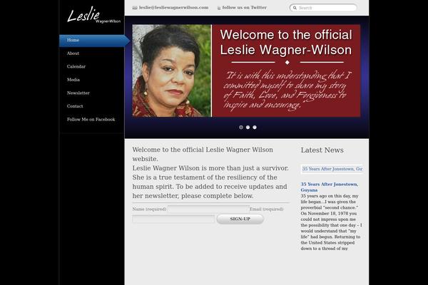 Slideo theme websites examples