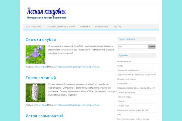 Iconic One theme site design template sample