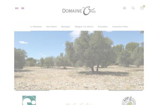 Site using Portfolio-pro plugin