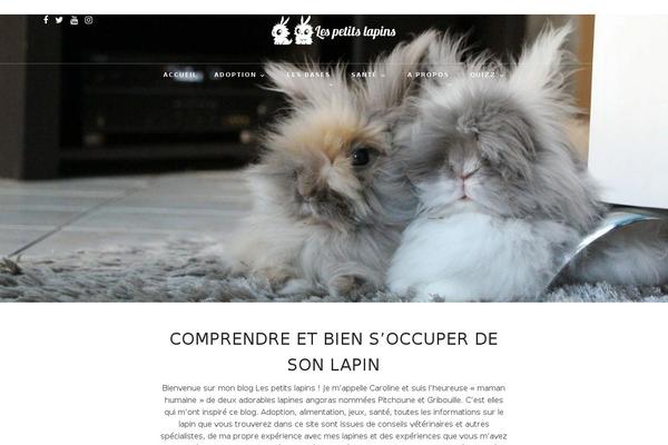 PhotoMe theme site design template sample