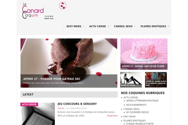 Designfolio theme site design template sample