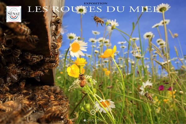 lesroutesdumiel.com site used Baylie