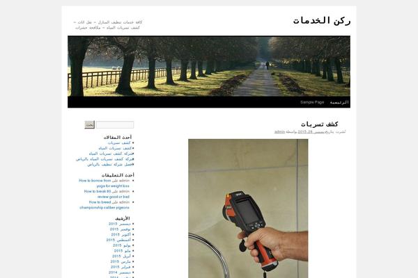 Site using WordPress Language plugin