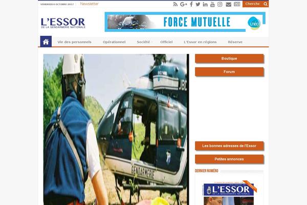 essor theme websites examples