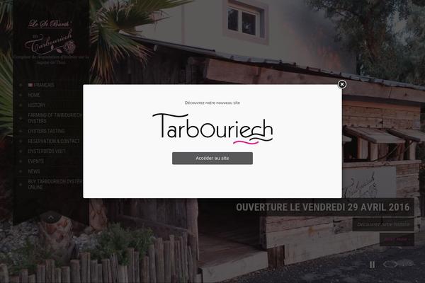 SKT Full Width theme site design template sample