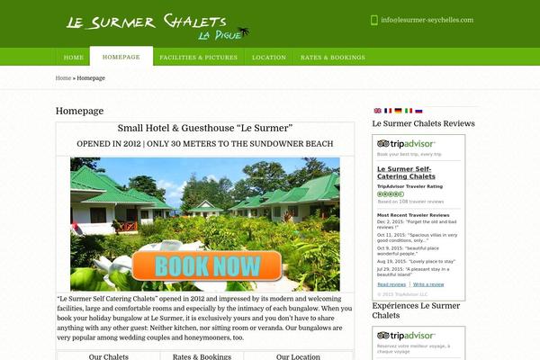 Appointway theme site design template sample
