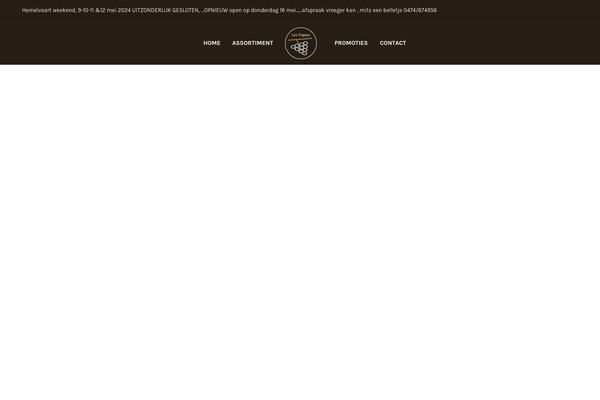 Basel-child theme site design template sample