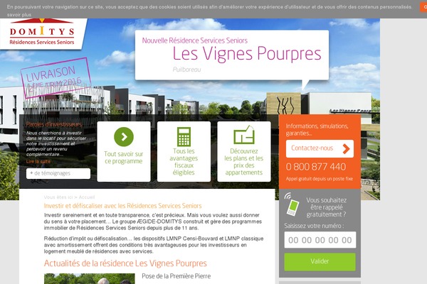 domitysminisite theme websites examples