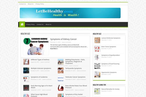 Sahifa theme site design template sample