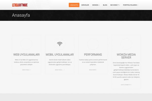 Liva theme site design template sample