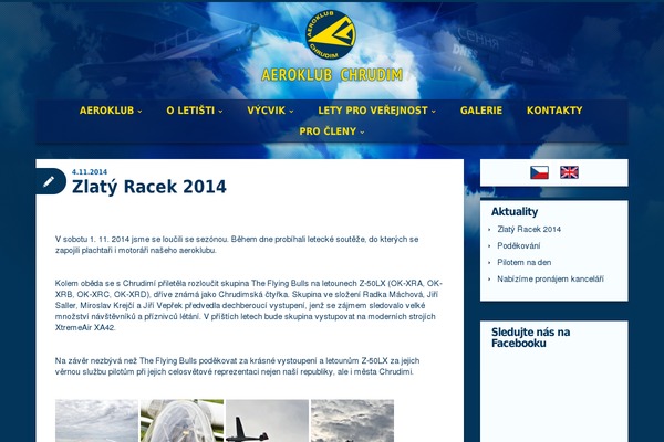 Duena theme site design template sample