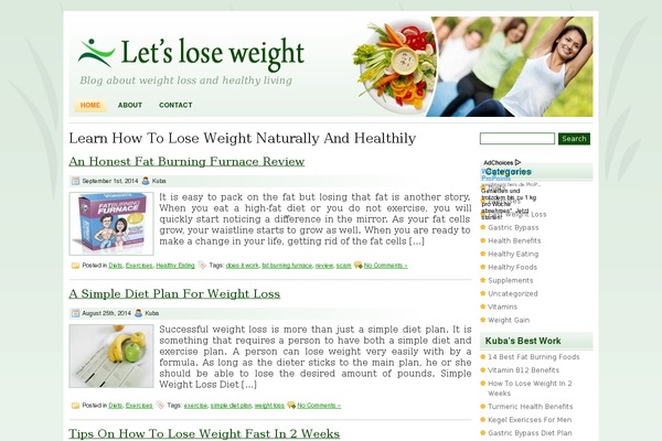letsloseweight.net site used Healthylifestyle