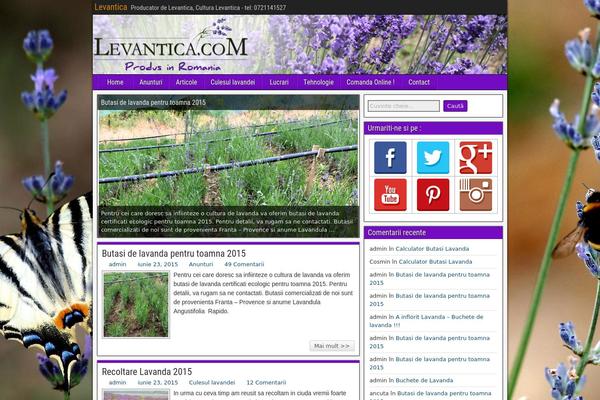 Frontier theme site design template sample