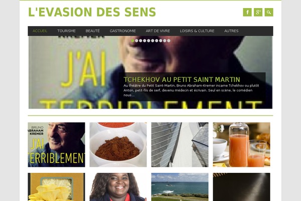 Magazino theme site design template sample