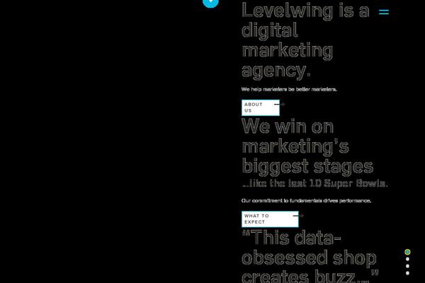 levelwing.com site used Levelwingtwentytwenty